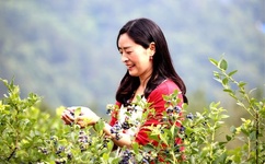 接吻教学视频哔哩哔哩